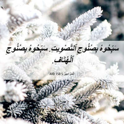 Picture 06 - اَلْمَزَامِيرُ 150:5 AVD - سَبِّحُوهُ بِصُنُوجِ - Bible Verse Picture