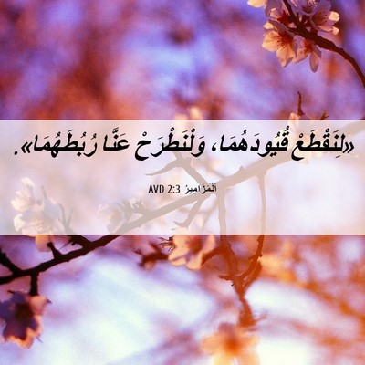 Picture 06 - اَلْمَزَامِيرُ 2:3 AVD - «لِنَقْطَعْ قُيُودَهُمَا، - Bible Verse Picture