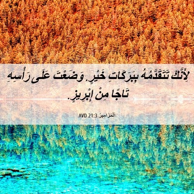 Picture 06 - اَلْمَزَامِيرُ 21:3 AVD - لِأَنَّكَ تَتَقَدَّمُهُ - Bible Verse Picture