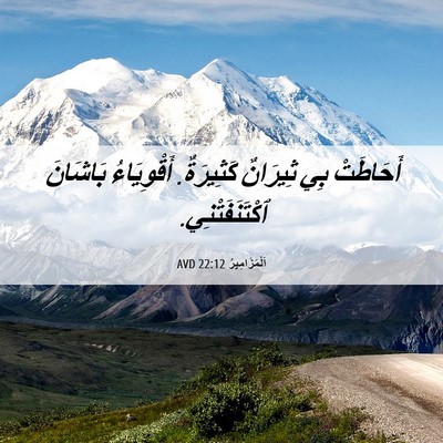 Picture 06 - اَلْمَزَامِيرُ 22:12 AVD - أَحَاطَتْ بِي ثِيرَانٌ - Bible Verse Picture