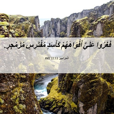Picture 06 - اَلْمَزَامِيرُ 22:13 AVD - فَغَرُوا عَلَيَّ - Bible Verse Picture