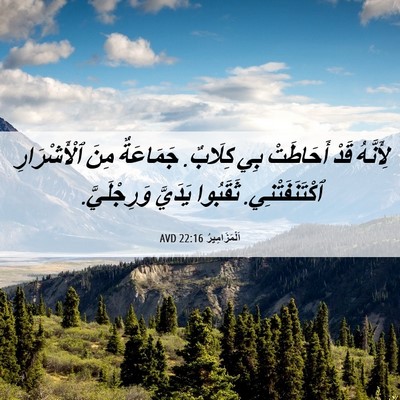 Picture 06 - اَلْمَزَامِيرُ 22:16 AVD - لِأَنَّهُ قَدْ أَحَاطَتْ - Bible Verse Picture