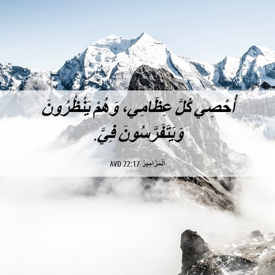 Picture 06 - اَلْمَزَامِيرُ 22:17 AVD - أُحْصِي كُلَّ عِظَامِي، - Bible Verse Picture