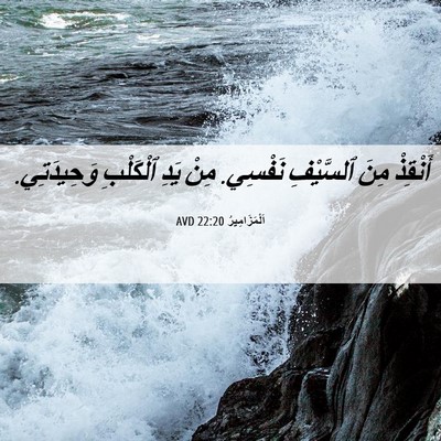 Picture 06 - اَلْمَزَامِيرُ 22:20 AVD - أَنْقِذْ مِنَ ٱلسَّيْفِ - Bible Verse Picture
