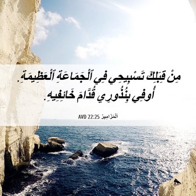 Picture 06 - اَلْمَزَامِيرُ 22:25 AVD - مِنْ قِبَلِكَ تَسْبِيحِي - Bible Verse Picture