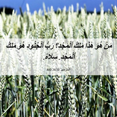 Picture 06 - اَلْمَزَامِيرُ 24:10 AVD - مَنْ هُوَ هَذَا مَلِكُ - Bible Verse Picture