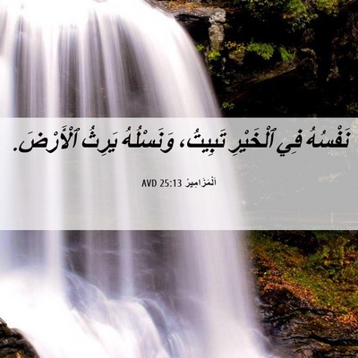 Picture 06 - اَلْمَزَامِيرُ 25:13 AVD - نَفْسُهُ فِي ٱلْخَيْرِ - Bible Verse Picture
