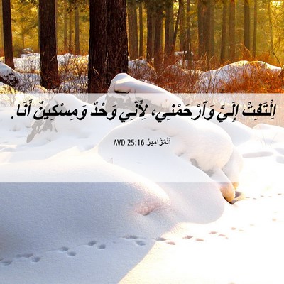 Picture 06 - اَلْمَزَامِيرُ 25:16 AVD - اِلْتَفِتْ إِلَيَّ - Bible Verse Picture