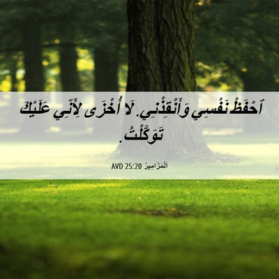Picture 06 - اَلْمَزَامِيرُ 25:20 AVD - ٱحْفَظْ نَفْسِي - Bible Verse Picture