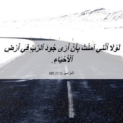 Picture 06 - اَلْمَزَامِيرُ 27:13 AVD - لَوْلَا أَنَّنِي آمَنْتُ - Bible Verse Picture