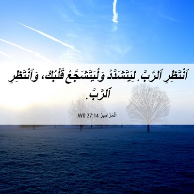 Picture 06 - اَلْمَزَامِيرُ 27:14 AVD - ٱنْتَظِرِ ٱلرَّبَّ. - Bible Verse Picture