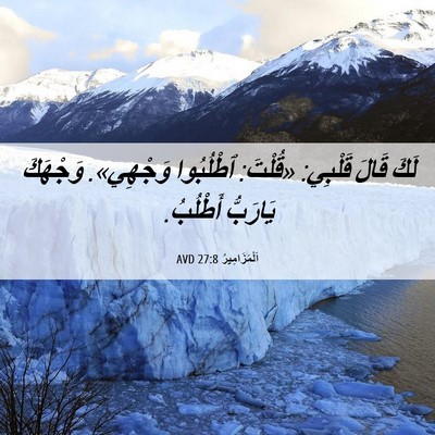 Picture 06 - اَلْمَزَامِيرُ 27:8 AVD - لَكَ قَالَ قَلْبِي: - Bible Verse Picture