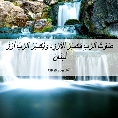 Picture 06 - اَلْمَزَامِيرُ 29:5 AVD - صَوْتُ ٱلرَّبِّ مُكَسِّرُ - Bible Verse Picture