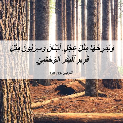 Picture 06 - اَلْمَزَامِيرُ 29:6 AVD - وَيُمْرِحُهَا مِثْلَ - Bible Verse Picture