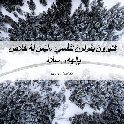 Picture 06 - اَلْمَزَامِيرُ 3:2 AVD - كَثِيرُونَ يَقُولُونَ - Bible Verse Picture