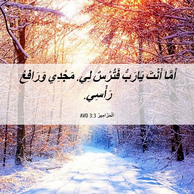 Picture 06 - اَلْمَزَامِيرُ 3:3 AVD - أَمَّا أَنْتَ يَارَبُّ - Bible Verse Picture