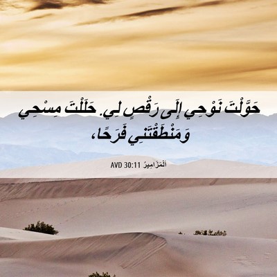 Picture 06 - اَلْمَزَامِيرُ 30:11 AVD - حَوَّلْتَ نَوْحِي إِلَى - Bible Verse Picture