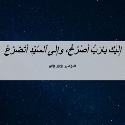 Picture 06 - اَلْمَزَامِيرُ 30:8 AVD - إِلَيْكَ يَارَبُّ - Bible Verse Picture