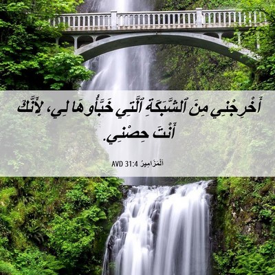 Picture 06 - اَلْمَزَامِيرُ 31:4 AVD - أَخْرِجْنِي مِنَ - Bible Verse Picture