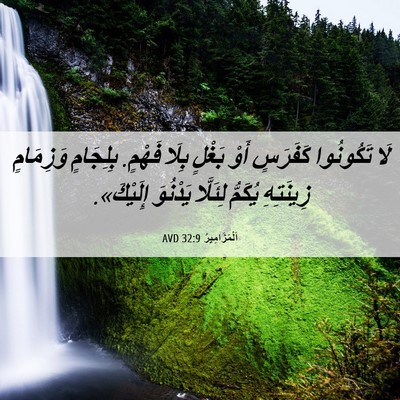 Picture 06 - اَلْمَزَامِيرُ 32:9 AVD - لَا تَكُونُوا كَفَرَسٍ - Bible Verse Picture