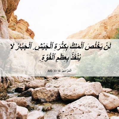 Picture 06 - اَلْمَزَامِيرُ 33:16 AVD - لَنْ يَخْلُصَ ٱلْمَلِكُ - Bible Verse Picture