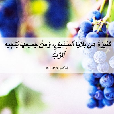Picture 06 - اَلْمَزَامِيرُ 34:19 AVD - كَثِيرَةٌ هِيَ بَلَايَا - Bible Verse Picture