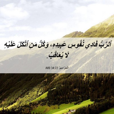 Picture 06 - اَلْمَزَامِيرُ 34:22 AVD - ٱلرَّبُّ فَادِي نُفُوسِ - Bible Verse Picture