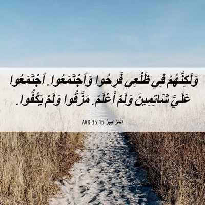Picture 06 - اَلْمَزَامِيرُ 35:15 AVD - وَلَكِنَّهُمْ فِي ظَلْعِي - Bible Verse Picture