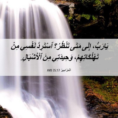 Picture 06 - اَلْمَزَامِيرُ 35:17 AVD - يَارَبُّ، إِلَى مَتَى - Bible Verse Picture