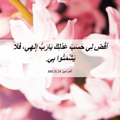 Picture 06 - اَلْمَزَامِيرُ 35:24 AVD - ٱقْضِ لِي حَسَبَ عَدْلِكَ - Bible Verse Picture