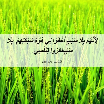 Picture 06 - اَلْمَزَامِيرُ 35:7 AVD - لِأَنَّهُمْ بِلَا سَبَبٍ - Bible Verse Picture