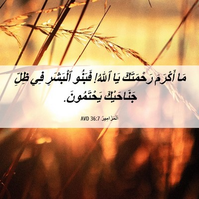Picture 06 - اَلْمَزَامِيرُ 36:7 AVD - مَا أَكْرَمَ رَحْمَتَكَ - Bible Verse Picture