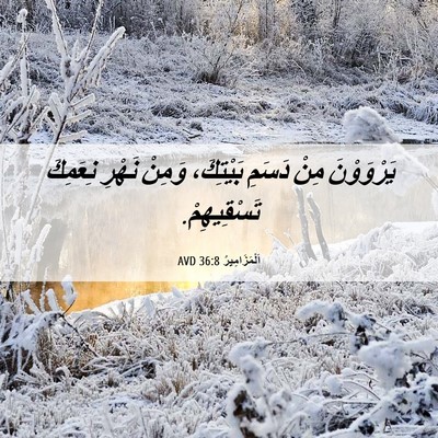 Picture 06 - اَلْمَزَامِيرُ 36:8 AVD - يَرْوَوْنَ مِنْ دَسَمِ - Bible Verse Picture