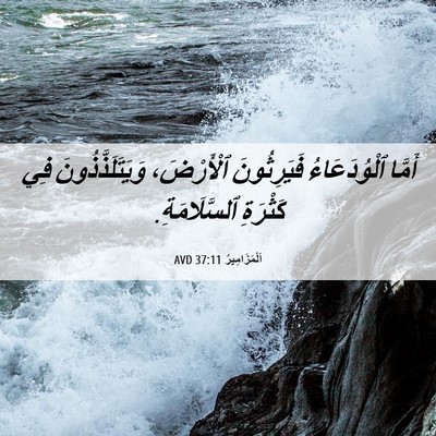 Picture 06 - اَلْمَزَامِيرُ 37:11 AVD - أَمَّا ٱلْوُدَعَاءُ - Bible Verse Picture