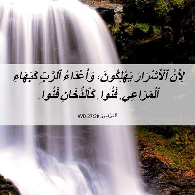 Picture 06 - اَلْمَزَامِيرُ 37:20 AVD - لِأَنَّ ٱلْأَشْرَارَ - Bible Verse Picture