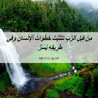 Picture 06 - اَلْمَزَامِيرُ 37:23 AVD - مِنْ قِبَلِ ٱلرَّبِّ - Bible Verse Picture