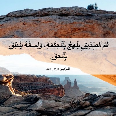 Picture 06 - اَلْمَزَامِيرُ 37:30 AVD - فَمُ ٱلصِّدِّيقِ يَلْهَجُ - Bible Verse Picture