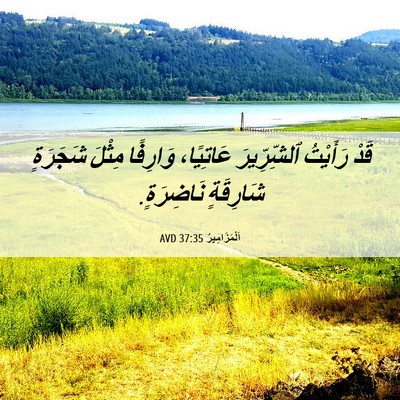 Picture 06 - اَلْمَزَامِيرُ 37:35 AVD - قَدْ رَأَيْتُ ٱلشِّرِّيرَ - Bible Verse Picture