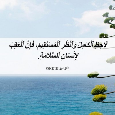 Picture 06 - اَلْمَزَامِيرُ 37:37 AVD - لَاحِظِ ٱلْكَامِلَ - Bible Verse Picture