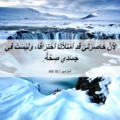 Picture 06 - اَلْمَزَامِيرُ 38:7 AVD - لِأَنَّ خَاصِرَتَيَّ قَدِ - Bible Verse Picture