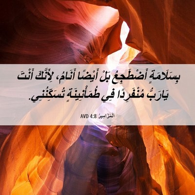 Picture 06 - اَلْمَزَامِيرُ 4:8 AVD - بِسَلَامَةٍ أَضْطَجِعُ - Bible Verse Picture