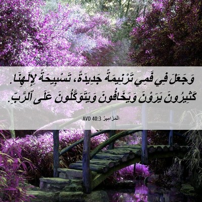 Picture 06 - اَلْمَزَامِيرُ 40:3 AVD - وَجَعَلَ فِي فَمِي - Bible Verse Picture