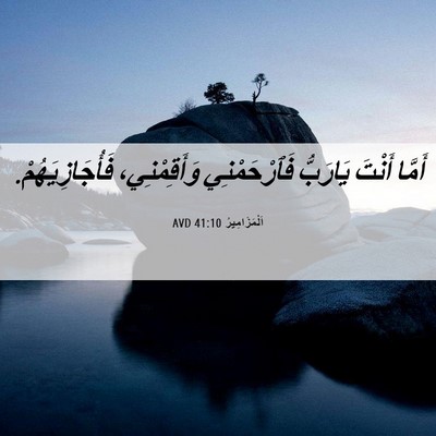 Picture 06 - اَلْمَزَامِيرُ 41:10 AVD - أَمَّا أَنْتَ يَارَبُّ - Bible Verse Picture