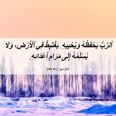 Picture 06 - اَلْمَزَامِيرُ 41:2 AVD - ٱلرَّبُّ يَحْفَظُهُ - Bible Verse Picture