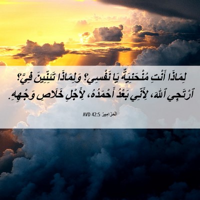 Picture 06 - اَلْمَزَامِيرُ 42:5 AVD - لِمَاذَا أَنْتِ - Bible Verse Picture