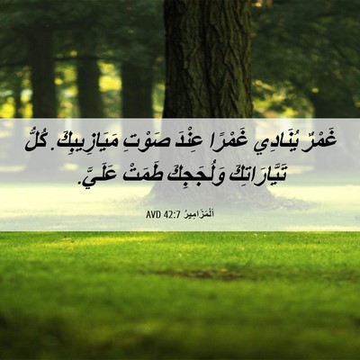 Picture 06 - اَلْمَزَامِيرُ 42:7 AVD - غَمْرٌ يُنَادِي غَمْرًا - Bible Verse Picture
