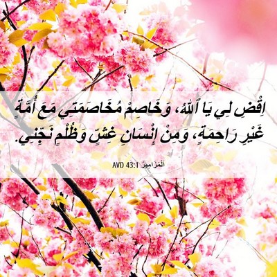 Picture 06 - اَلْمَزَامِيرُ 43:1 AVD - اِقْضِ لِي يَا ٱللهُ، - Bible Verse Picture
