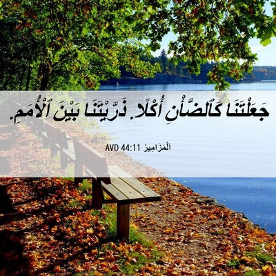 Picture 06 - اَلْمَزَامِيرُ 44:11 AVD - جَعَلْتَنَا كَٱلضَّأْنِ - Bible Verse Picture