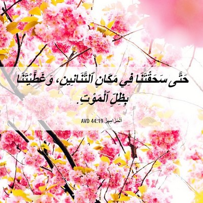 Picture 06 - اَلْمَزَامِيرُ 44:19 AVD - حَتَّى سَحَقْتَنَا فِي - Bible Verse Picture
