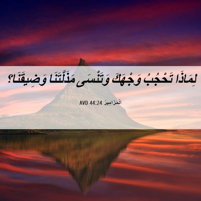 Picture 06 - اَلْمَزَامِيرُ 44:24 AVD - لِمَاذَا تَحْجُبُ - Bible Verse Picture